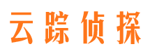 铁锋侦探公司